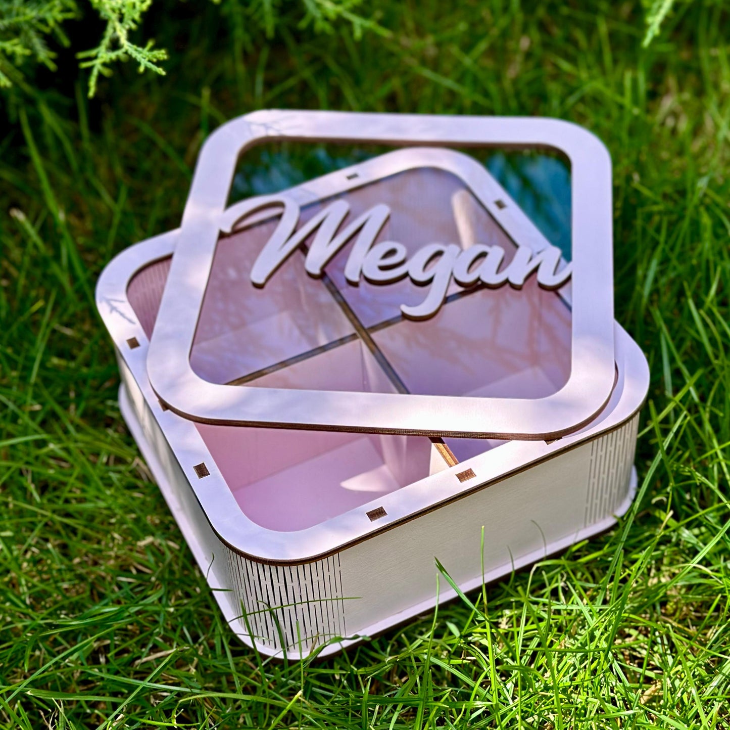 4 Compartment Storage Organizer